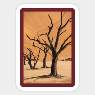 Namibia. Namib-Naukluft National Park. Deadvlei. Dead Trees. Dunes. Sticker